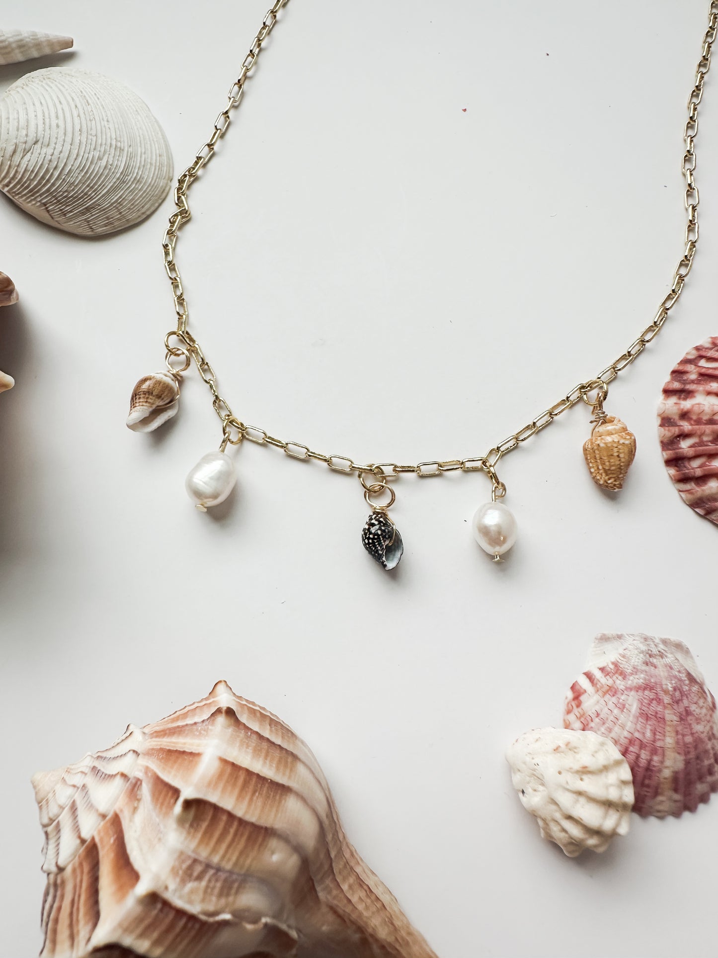 Seashell Charm Necklace | Coastal Collection