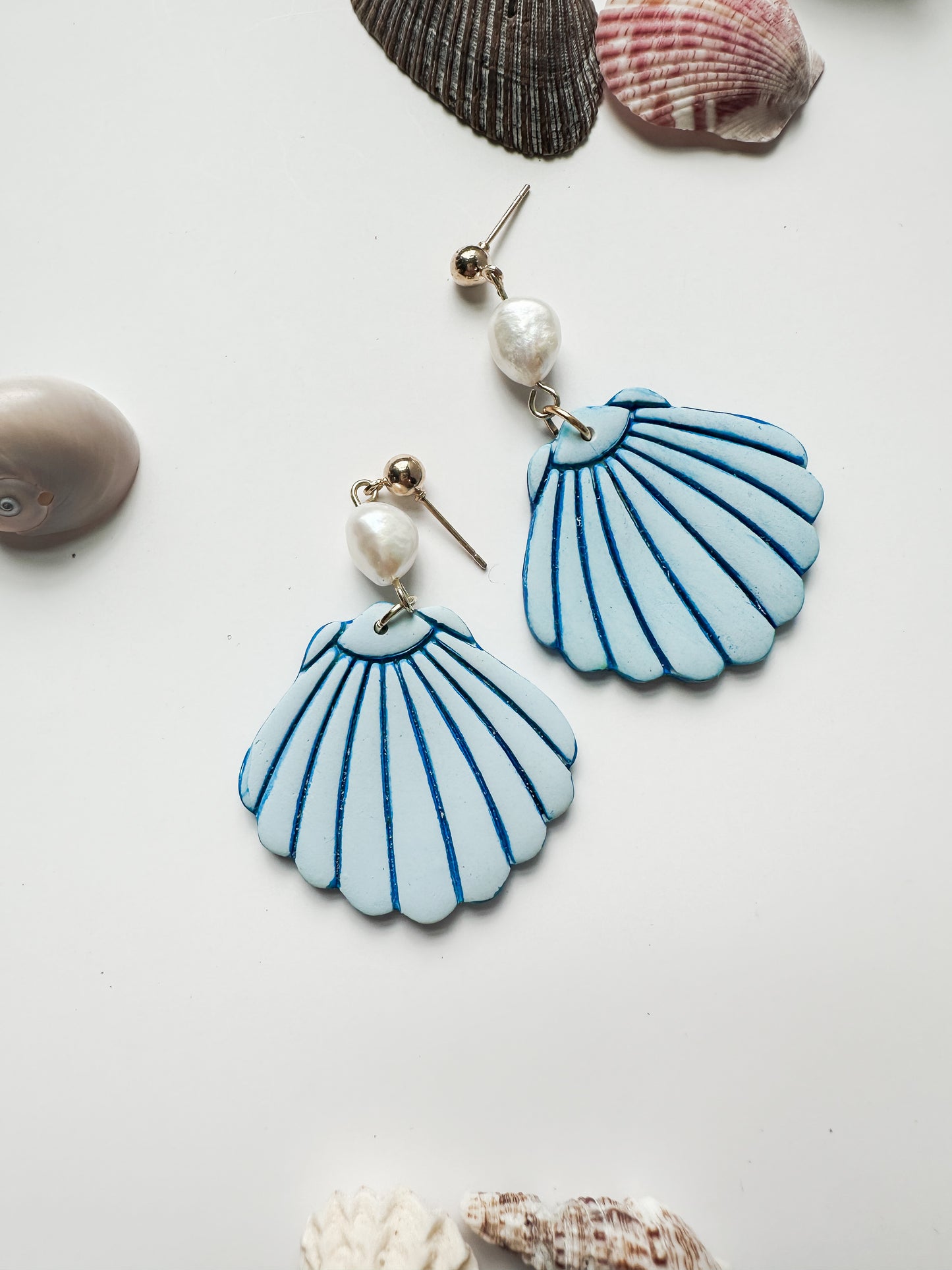 Statement Seashells | Coastal Collection