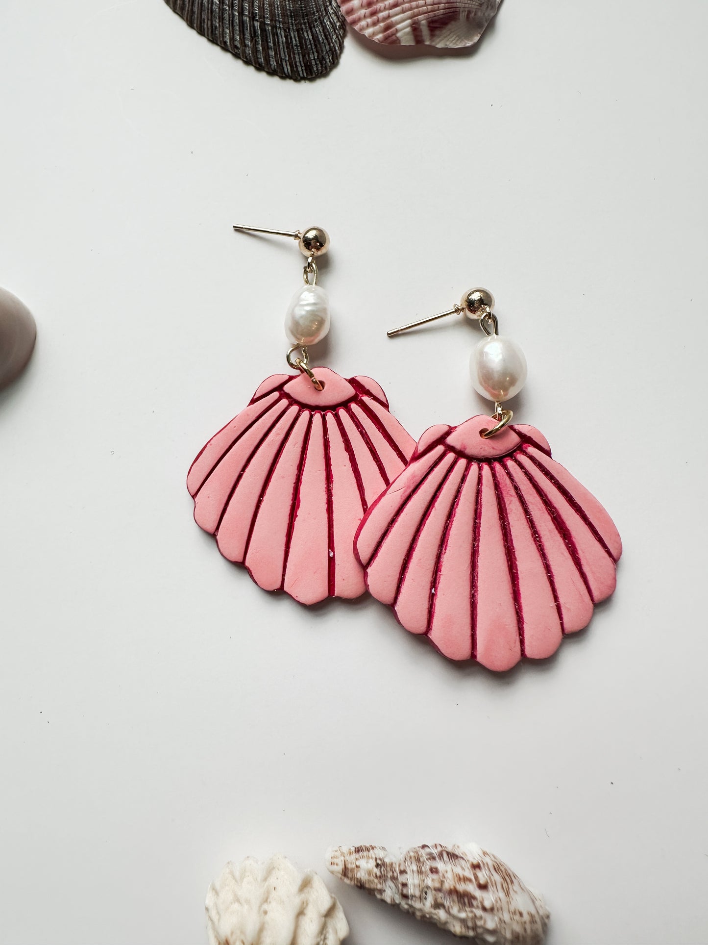 Statement Seashells | Coastal Collection