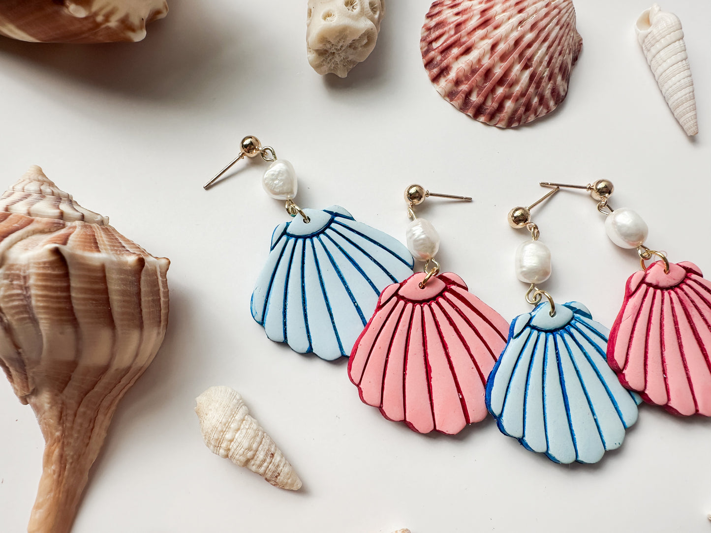 Statement Seashells | Coastal Collection